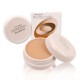 Shiseido Spot Cover Foundation S100