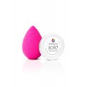 BeautyBlender With Mini solid